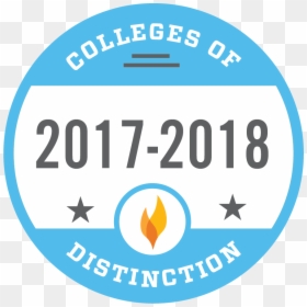 Colleges Of Distinction 2018 2019, HD Png Download - christmas lights .png