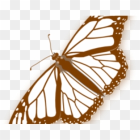 Monarch Butterfly Line Drawing, HD Png Download - monarch png
