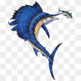 Porc Ss15 Sailfish With Tuna Porc Tn43 Copy - Sail Fish, HD Png Download - sailfish png