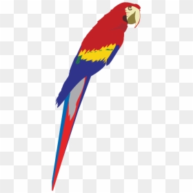 Clip Art, HD Png Download - parrot logo png