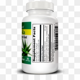 Saw Palmetto, HD Png Download - sabila png