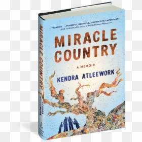 Cover - Book Cover, HD Png Download - mercy wings png