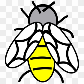 Clip Art, HD Png Download - abelha png