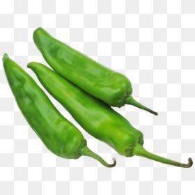 Transparent Green Chili Png, Png Download - chiles rellenos png