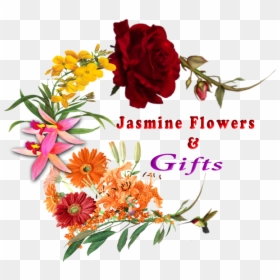 Colorado Springs, Co Florist - Hybrid Tea Rose, HD Png Download - arreglo floral png