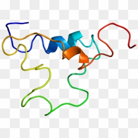 Protein Igf1 Pdb 1bqt - Igf 1 Structure, HD Png Download - insulin png