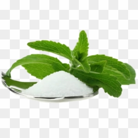 Artificial Sweeteners - Stevia Png, Transparent Png - stevia png
