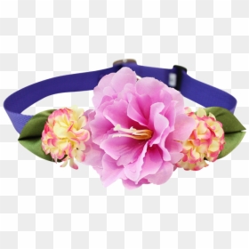 Common Peony, HD Png Download - flower headpiece png