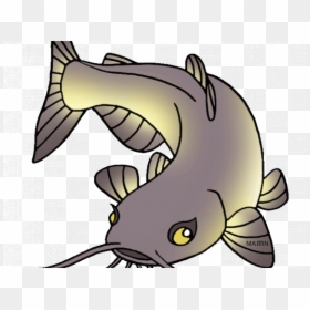 School Fish Cliparts Free - Clip Art Cat Fish, HD Png Download - school fish png