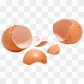 Two Cracked Eggshells - Cracked Egg Shells Png, Transparent Png - broken plate png