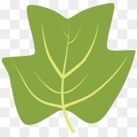 Clipart Leaf Hickory - Tulip Tree Leaf Clipart, HD Png Download - tulip tree png