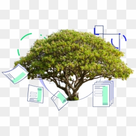 Iphone 8 Wallpaper Nature, HD Png Download - digital tree png
