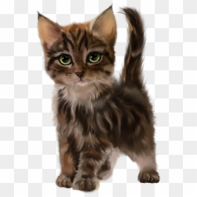 Cat, HD Png Download - perros y gatos png