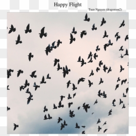 Crows Flying, HD Png Download - flock of doves png