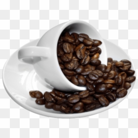 Coffee Beans Cup - Coffee Beans Cup Png, Transparent Png - png coffee beans