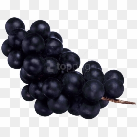 Free Png Download Black Grapes Png Images Background - Темный Виноград Png, Transparent Png - grapes.png