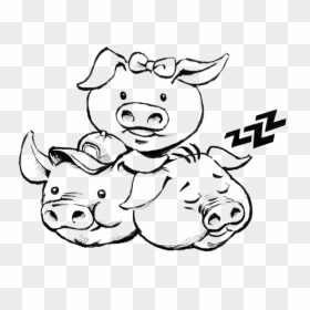 3 Little Pigs Drawing, HD Png Download - three little pigs png