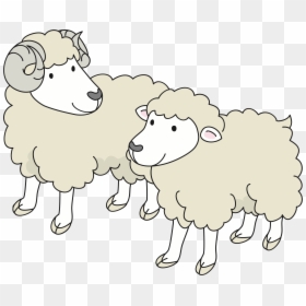 Clipart Sheep , Png Download - Png Sheep Clipart, Transparent Png - sheep png images