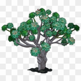 Tabaiba Dulce, HD Png Download - plam tree png