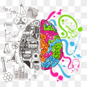 Intelligent Brain Png Image - Left Right Brain Png, Transparent Png - brain graphic png
