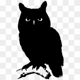 Silhouette Owl, HD Png Download - owl .png