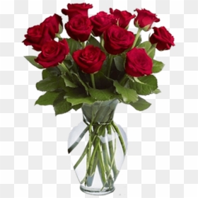 A Warm Smile - Dozen Roses, HD Png Download - flower pots png