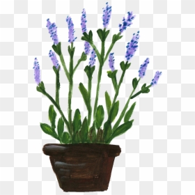 Flower Pots With Flowers Png Potted Flower Png - Lavender Plants Transparent Background, Png Download - flower pots png