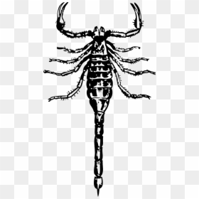 Clip Art, HD Png Download - dangerous png