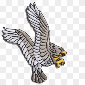 Osprey, HD Png Download - white eagle png