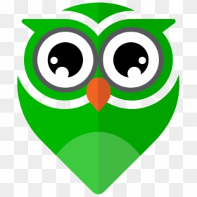 Opentripedia Official Mascot - Cartoon, HD Png Download - owl face png