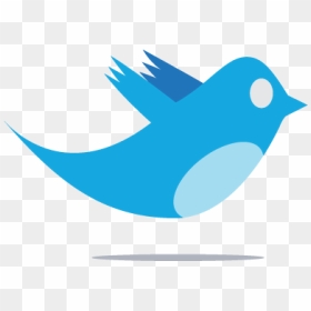 Twitter Logo Png - Twitter Logo Png Gif, Transparent Png - twitter png