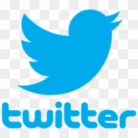 Twitter Logo Like Button Clip Art Font - Transparent Background Twitter Logo Png, Png Download - twitter png