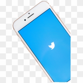 Twitter Bird On Phone, HD Png Download - twitter png