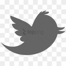 Free Png Download Twitter Logo Gray Png Images Background - Grey Twitter Icon Png, Transparent Png - twitter png