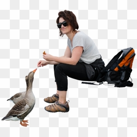 People Png, Transparent Png - people png