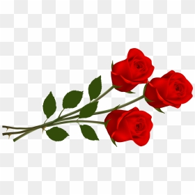 Single Red Rose Png Transparent Image - Valentine Flowers Clip Art, Png Download - rose png