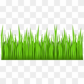 Thumb Image - Grass Clipart Transparent Background, HD Png Download - grass png