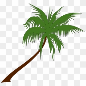 Summer On You Sam Feldt X Lucas, HD Png Download - palm tree png