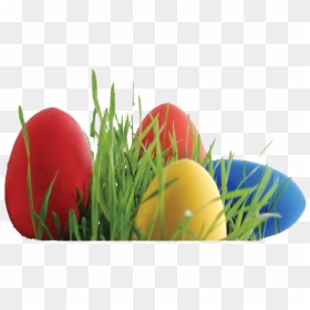 Easter Egg Grass Png Photos - Easter Egg Basket Png, Transparent Png - grass png
