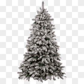 Christmas Tree Snow Clip Arts - Snow Capped Christmas Tree, HD Png Download - snow png