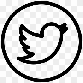 White Twitter Logo Png - White Twitter Bird Transparent, Png Download - twitter icon png