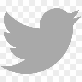 Twitter Icon Png Gray Download - Twitter 2019 Logo Png, Transparent Png - twitter icon png