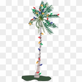 Christmas Palm Tree Clipart Image Black And White Download - Palm Tree Clip Art, HD Png Download - palm tree png