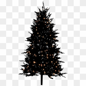 Night Bg Christmas Tree Png By Dbszabo - Artificial Christmas Tree Png, Transparent Png - christmas tree png