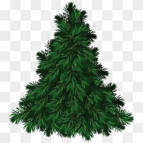 Fir Tree Png Image - Merry Christmas Cap Png, Transparent Png - christmas tree png