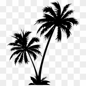 Isle Manage Specializes In White Palm Tree Png - Vector Palm Tree Png, Transparent Png - palm tree png