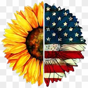American Flag Png, Transparent Png - american flag png