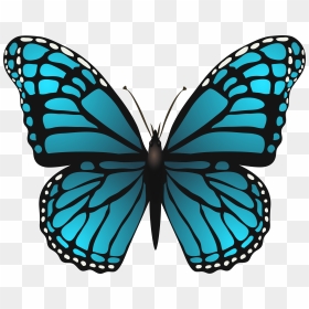 Blue Butterfly Images Clipart Free Hd Butterfly Png - Blue Butterfly Clipart Transparent Background, Png Download - butterfly png