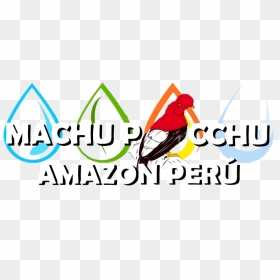 Illustration, HD Png Download - amazon logo png