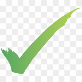 Check Mark Png, Transparent Png - check mark png